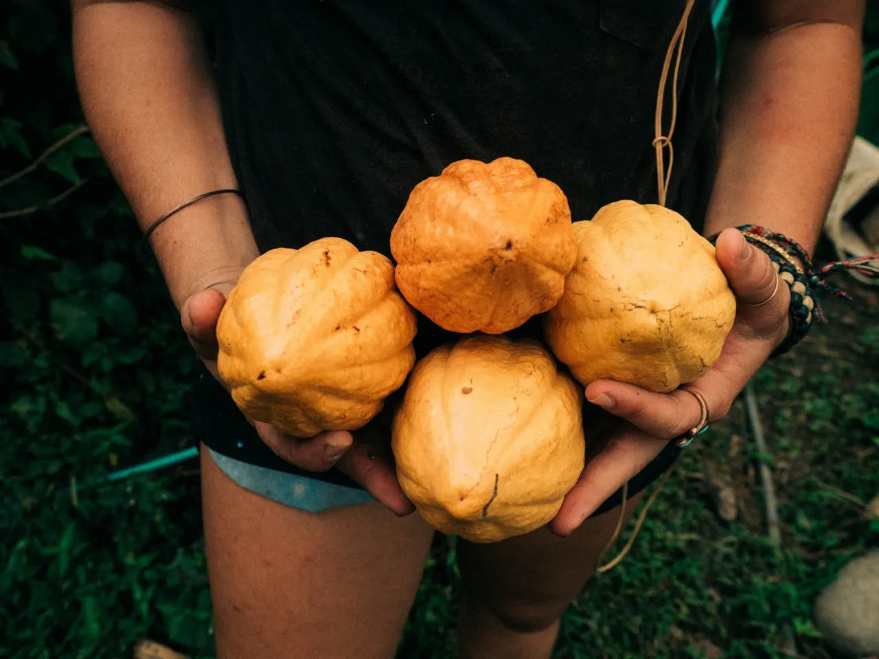 How Kalu Yala Became a Sustainable Paradise - how kalu yala became sustainable