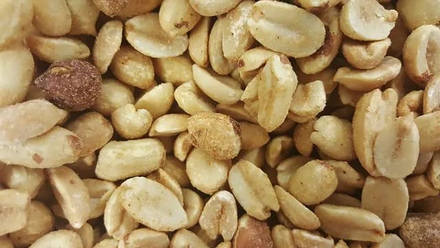 Premier Allergy Warns That Food Allergies Can Pop Up in Products That You’d Least Expect - premier allergy warns food allergies